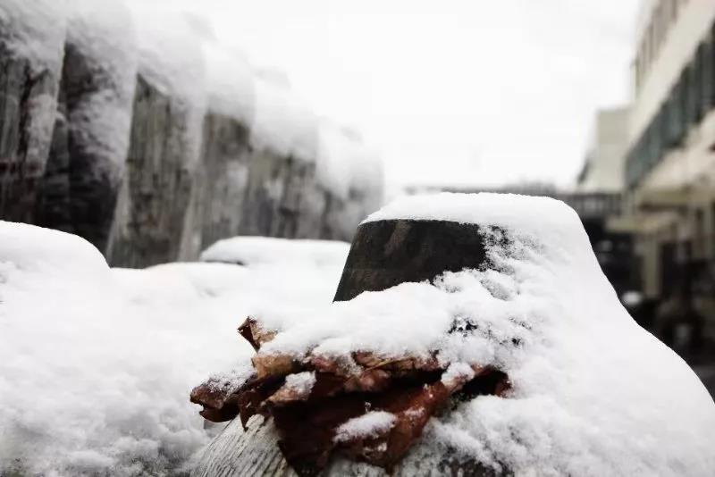 1548060028632997.jpg 3.jpg