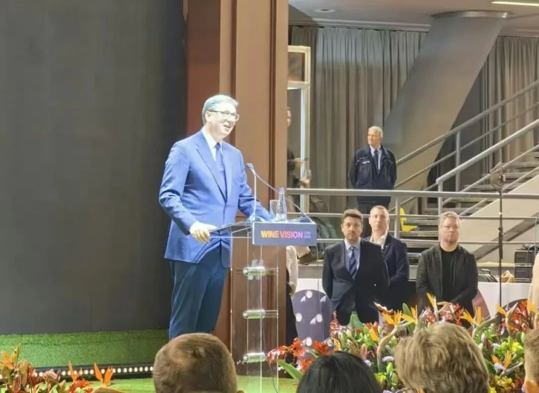 1736236816800945.jpg 002.jpg